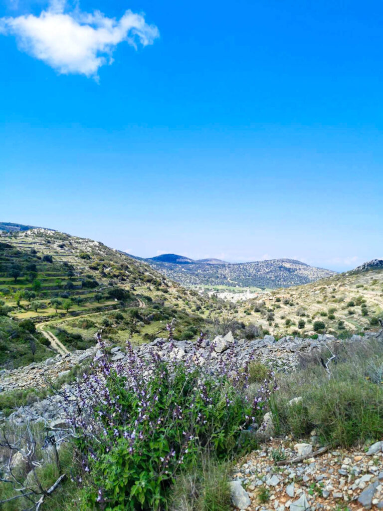 Mesta | Nature | Hiking Mesta - Olympoi | Chios